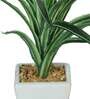 White Green Pvc Dracaena Artificial Bonsai With White Ceramic Pot