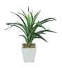 White Green Pvc Dracaena Artificial Bonsai With White Ceramic Pot