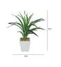White Green Pvc Dracaena Artificial Bonsai With White Ceramic Pot