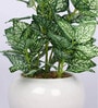 White Green Pvc Nearly Natural Artificial Bonsai With White Ceramic Pot