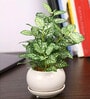 White Green Pvc Nearly Natural Artificial Bonsai With White Ceramic Pot