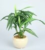 Pvc White Green Refreshing Bonsai With White Ceramic Pot Artificial Plants