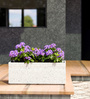 White GT Marble rectangular 218 Planter