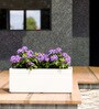 White GT rectangular 218 Planter