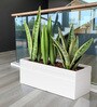 White GT rectangular 2411 Planter