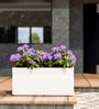 White GT rectangular 2411 Planter