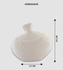 White Imperial Grace Ceramic Amphora Shaped Vase