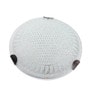 Francis White Iron Ceiling Flush Mount
