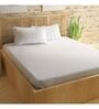 Cream 100% Cotton 300Tc King Size Bedsheet With 2 Pillow Covers