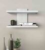 White Mapple Engineered Wood Wall Shelf