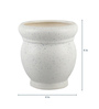White Marble Matt 4 Inch Ceramic Planter Pots Set of 2