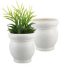White Marble Matt 4 Inch Ceramic Planter Pots Set of 2