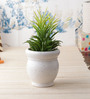 White Marble Matt 4 Inch Ceramic Planter Pots Set of 2