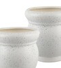White Marble Matt 4 Inch Ceramic Planter Pots Set of 2