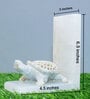 Tortue White Marble Book End