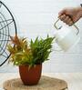 White Metal 900 ml Watering Can