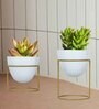 White Metal Alle Desk Pot (Set Of 2)