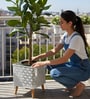 White Metal And Wood Square Planter
