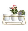 White Metal Bella Desk Pot Desk Pot