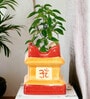 5 inches Yellow Tulsi Ceramic Planter
