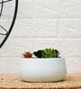 White Metal Handi Desk Pot Set Of 2