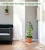 White Circul Planter Stand For Climbing Plants