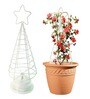 White Planter Stand For Climbing Plants