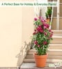 White Triangle Planter Stand For Climbing Plants