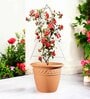 White Triangle Planter Stand For Climbing Plants