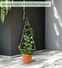 White Circul Planter Stand For Climbing Plants