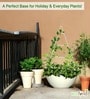 White Triangle Planter Stand For Climbing Plants