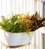 Metal Railing Planter