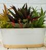 Metal Railing Planter