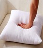 White Micro Fiber Solid 12x18 inches Cushion Insert (Pack of 2)