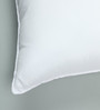 White Microfiber 17x28 Inch Pillow Inserts-Set Of 5
