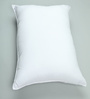 White Microfiber 17x28 Inch Pillow Inserts-Set Of 5