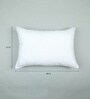 White Microfiber 17x28 Inch Pillow Inserts-Set Of 5