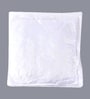 Microfiber Filled Polyester 12 x 12 Inch Cushion Inserts (Set of 2)