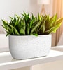 White PCTR Marble rectangular 2411 Planter