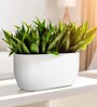 White PCTR rectangular 2411 Planter