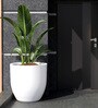 White Pcup Round 24 Inches Planter