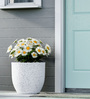 White PcupMarble Round 12 Inches Planter