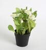 White Plastic Artificial Daisy Flower Plant