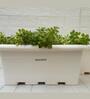 White Plastic Desk Big Planter
