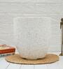 White Plastic Floor Planter