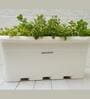 White Plastic Desk Big Planter