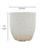 White Plastic Floor Planter