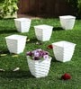 White Plastic Planter