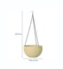 White Plastic Round Rattan Waven Plastic Flower Hanging Planter