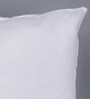 Polyester Filled Non Woven 18 x 18 Inches Cushion Insert